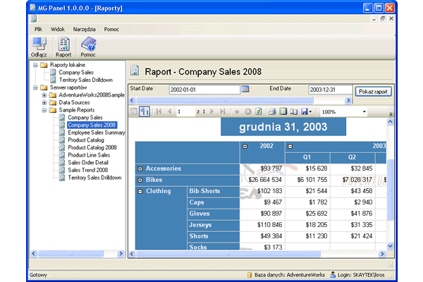 MG Panel - Program do wizualnej prezentacji raportów.